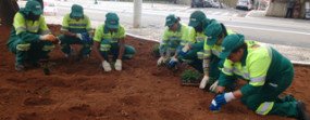 Embelezando a Praça Perola Byington