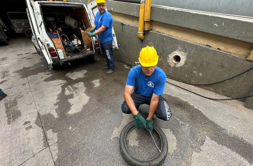  Controle de Pragas e Vetores tem papel fundamental em São Paulo, e o SIEMACO-SP ajuda a categoria a ter mais qualidade de vida