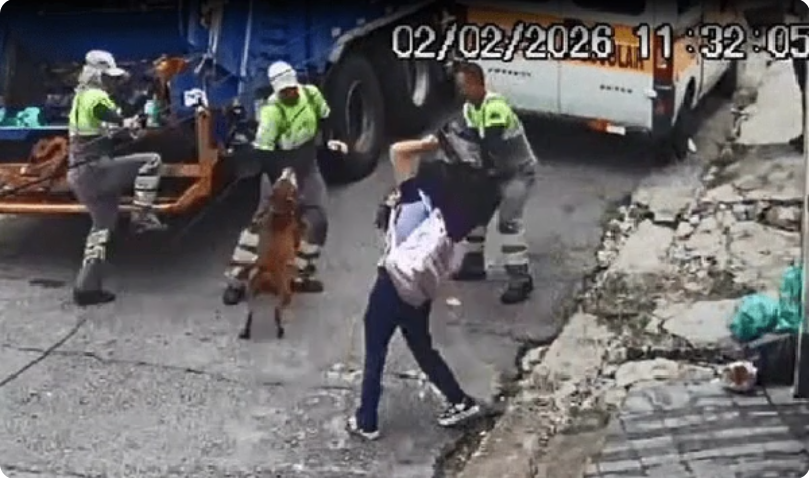  Pitbull ataca coletores e deixa dois feridos no Jabaquara, zona sul de SP